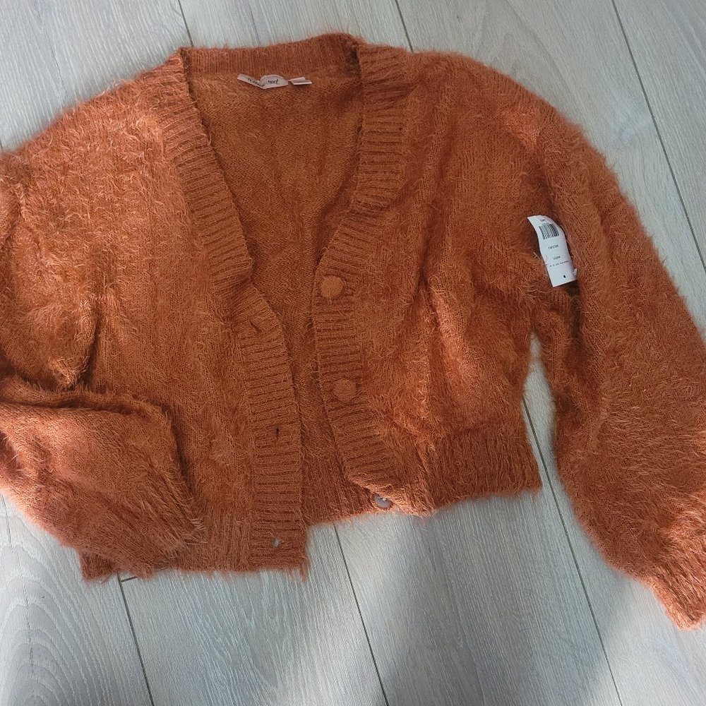 Rust sweater cardigan